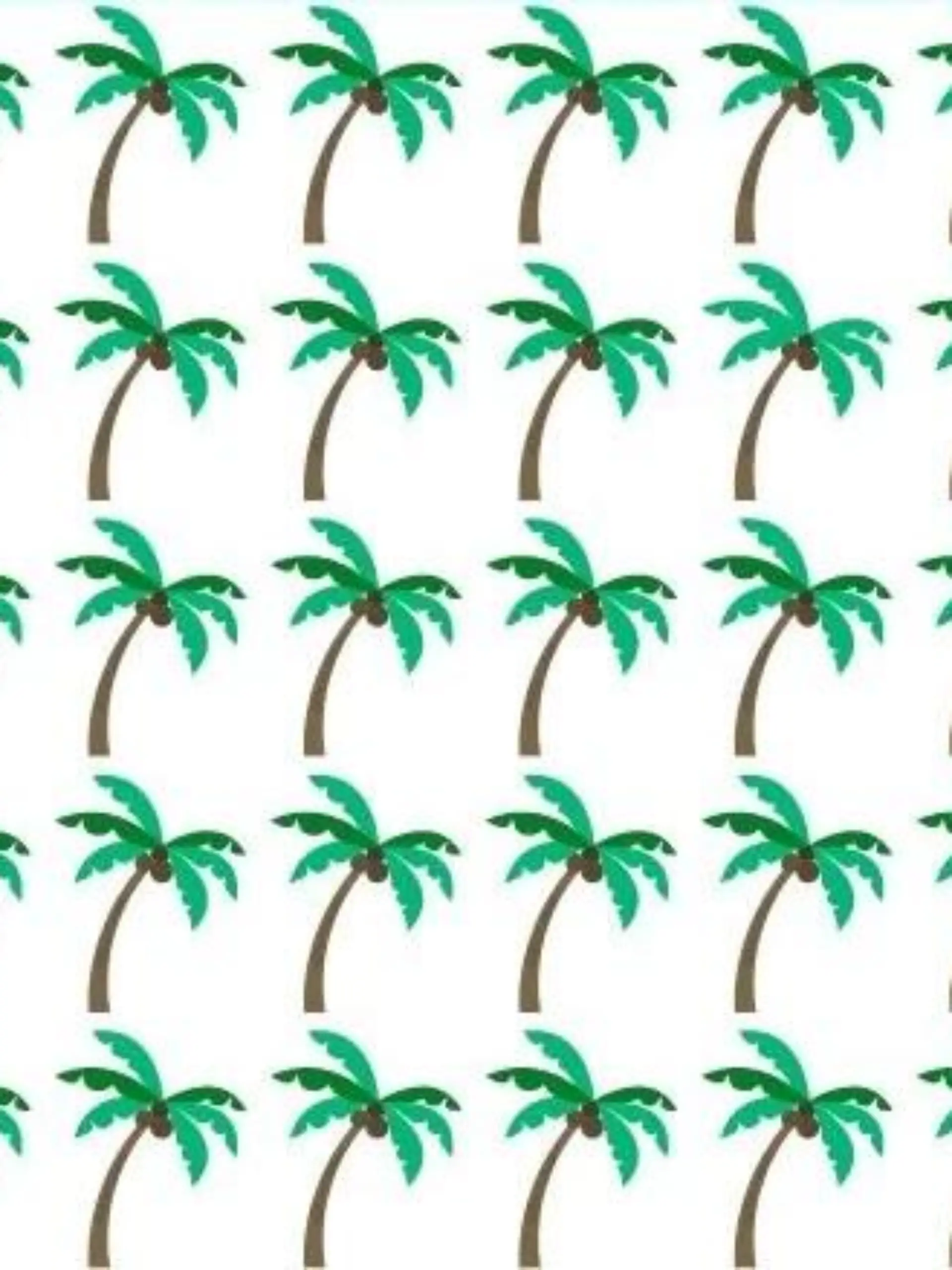 Suchbild Palme