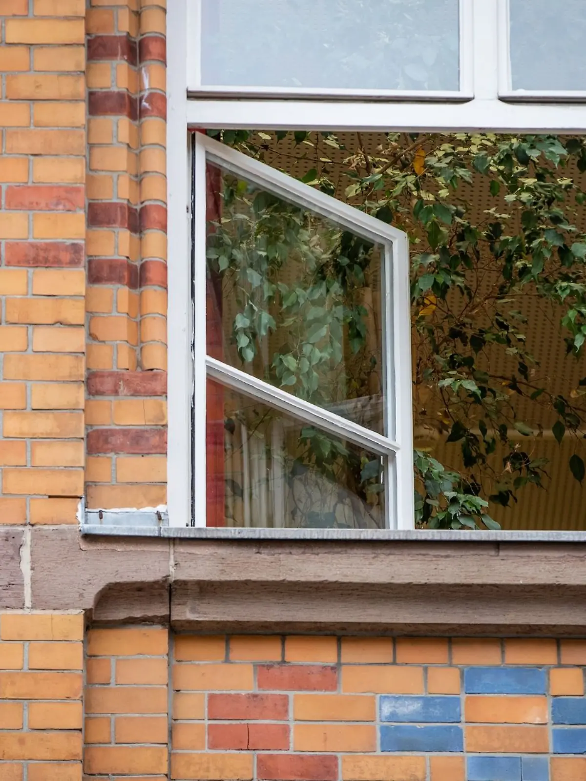 Bild zu: "Sex-Täter steigt durchs Fenster, missbraucht und würgt Frau im Bett"