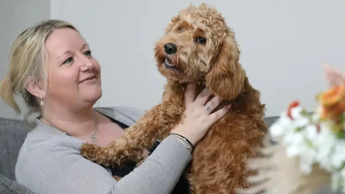 Arthur, ein sechs Monate alter Cockapoo, war plötzlich gelähmt. Er kann wieder laufen nachdem seine Wirbelsäule mit 3D-gedruckten Schrauben repariert wurde.