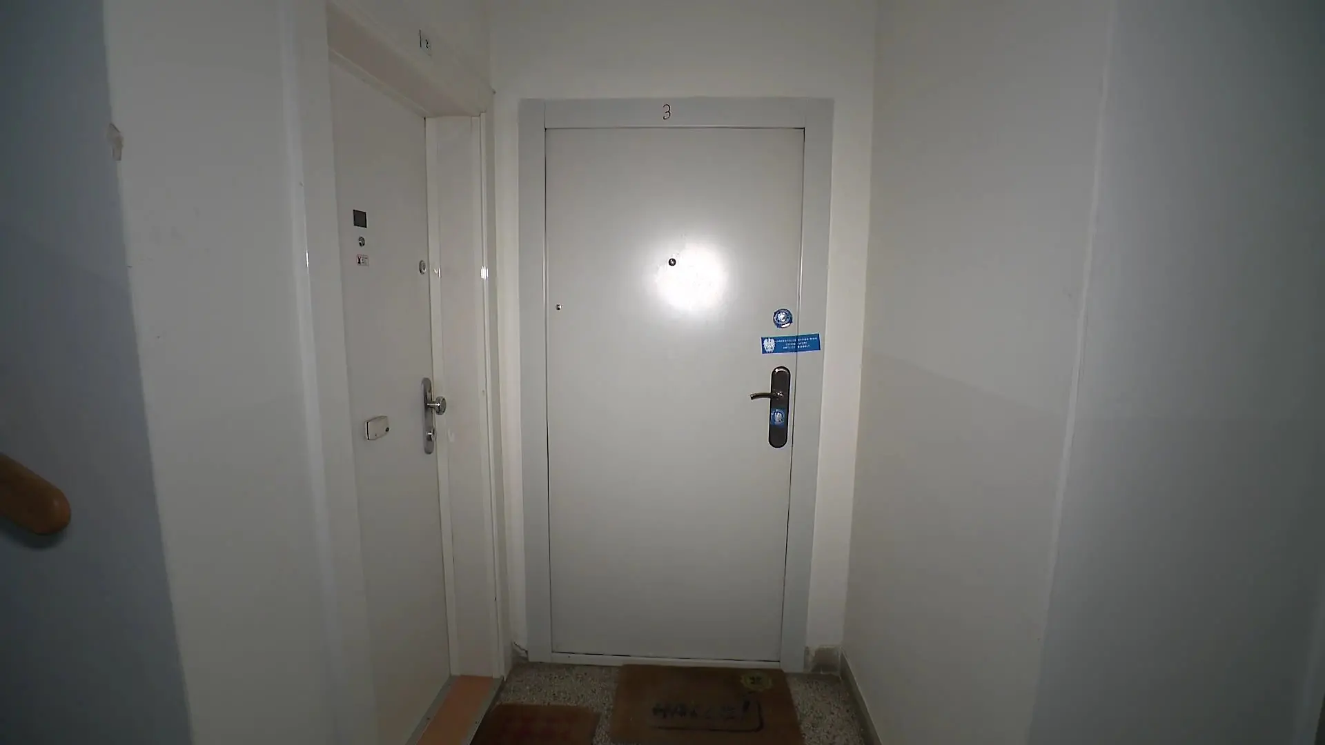 Mitbewohnerin in Wien getötet