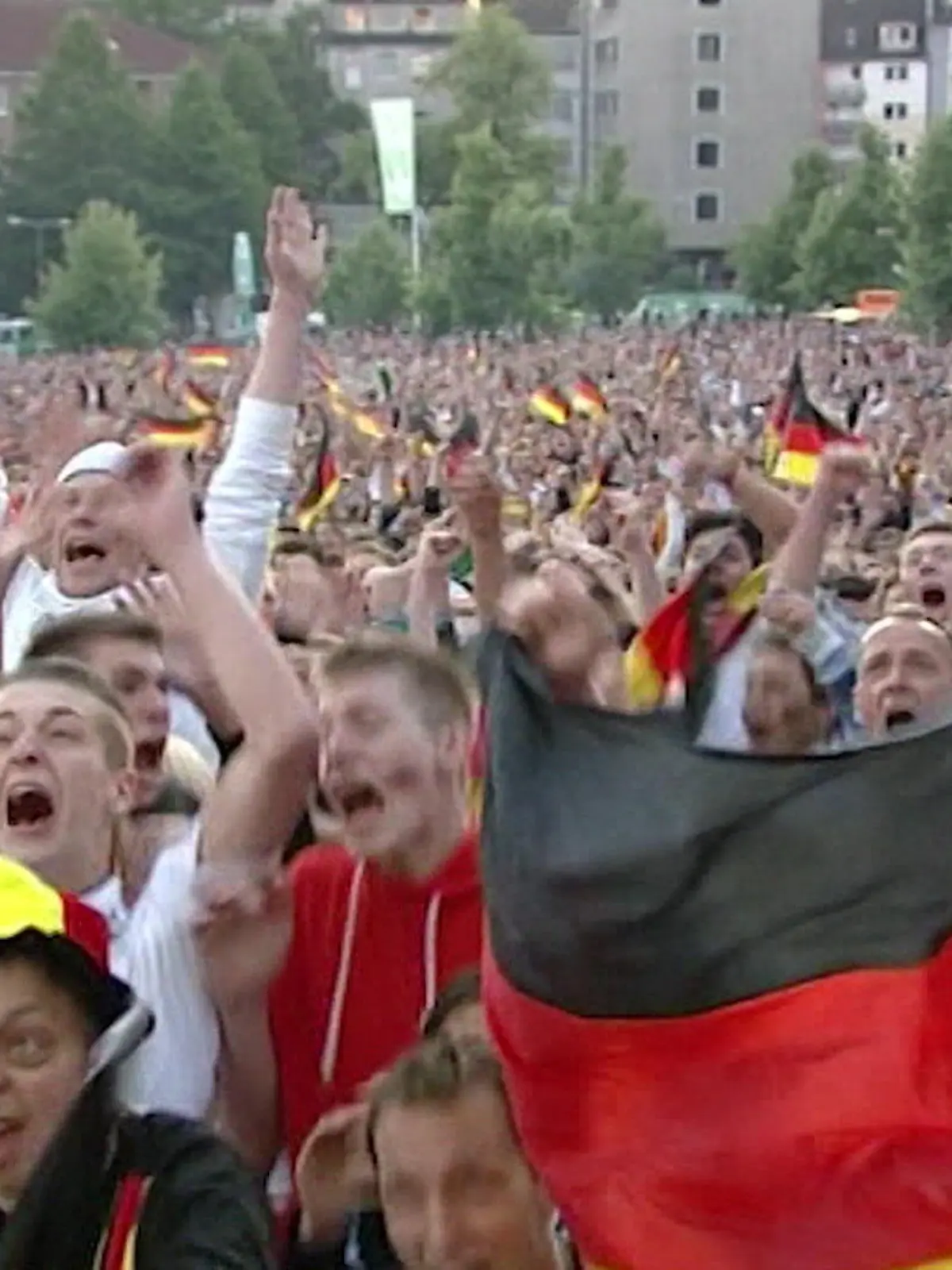 Bild zu: "Tier-Trio tippt"