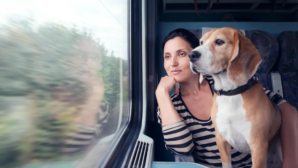 Woman travel with dog into the train wagon