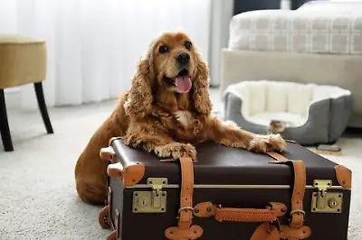 Tribello Dog-Pro-Mitgliedschaft