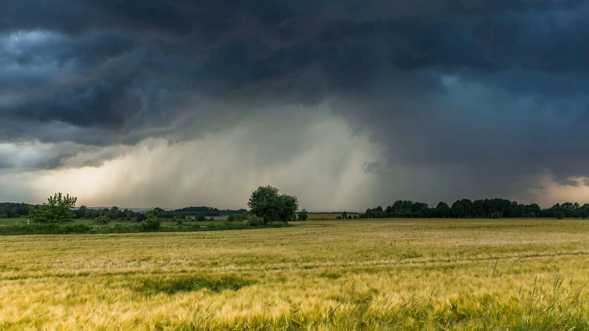 dpatopbilder - 10.06.2018, Sachsen, Großschirma bei Freiberg. Eine sogenannte Superzelle mit einer tiefhängenden Wallcloud zieht von Leipzig nach Mittweida und Freiberg und formiert sich zur Unwetterfront. Sie brachte einen extrem heftigen Starkregen, kleinkörnigen Hagel. Foto: Bernd März/dpa-Zentralbild/dpa +++ dpa-Bildfunk +++