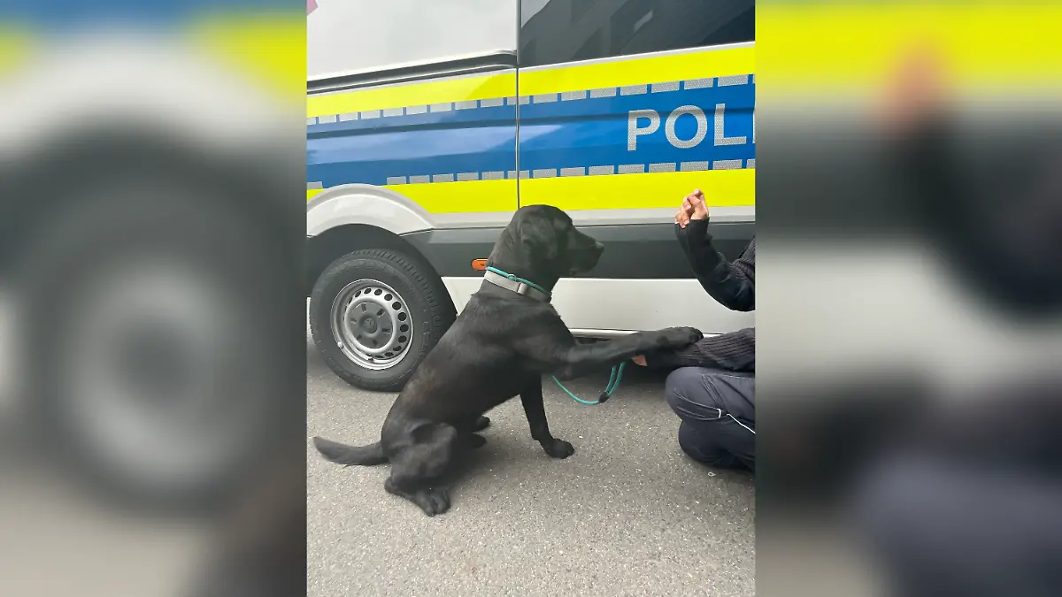 Die Thüringer Polizei rettete den entlaufenen Rüden Charlie.