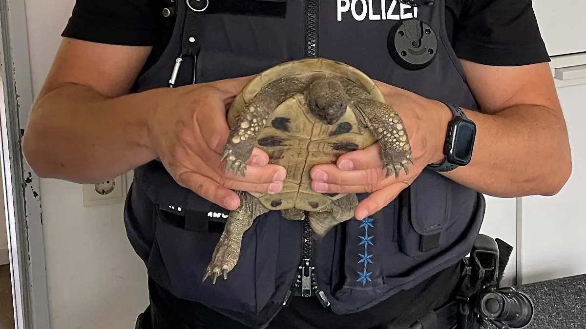 Foto: (c) Polizei, freigegeben