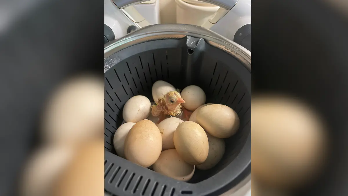 Normalerweise benutzt man ihn zum Kochen, doch aus der Not heraus funktioniert Britta die Küchenmaschine einfach um. 
