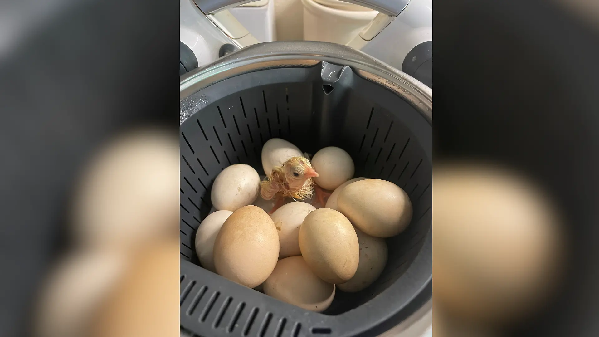 Normalerweise benutzt man ihn zum Kochen, doch aus der Not heraus funktioniert Britta die Küchenmaschine einfach um.