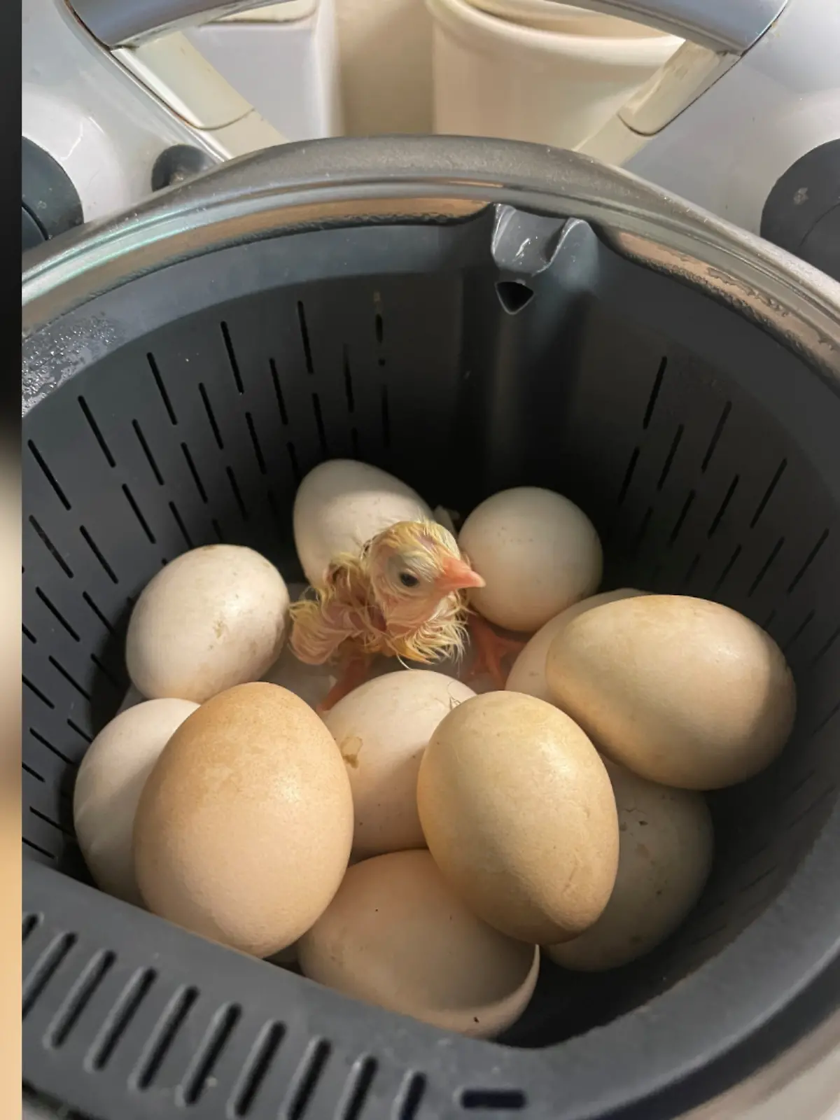 Normalerweise benutzt man ihn zum Kochen, doch aus der Not heraus funktioniert Britta die Küchenmaschine einfach um. 