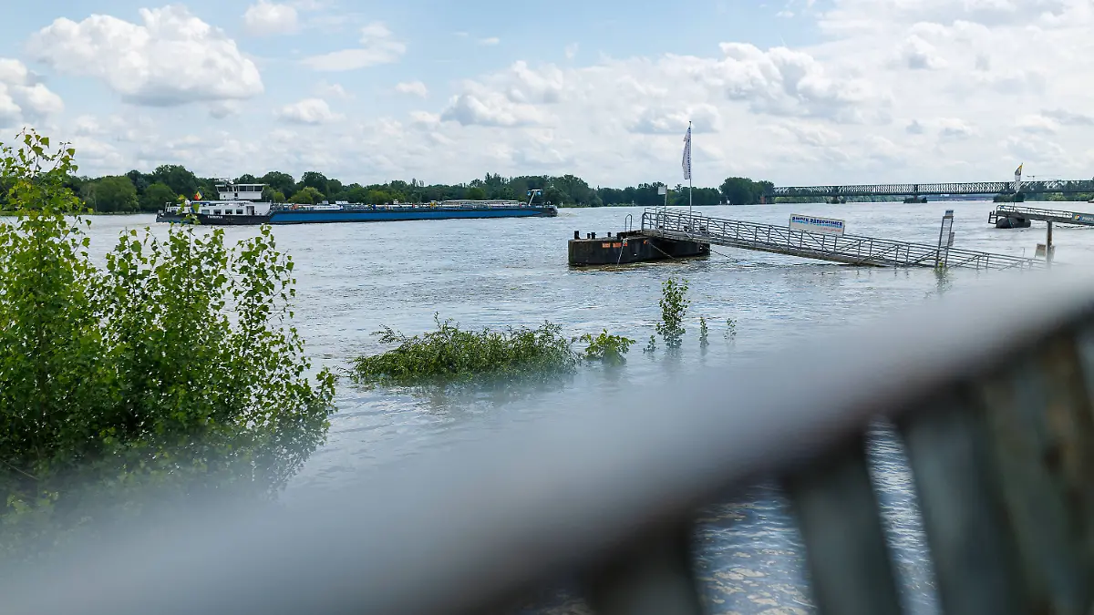 Der Rhein in der Nähe von Mainz. 