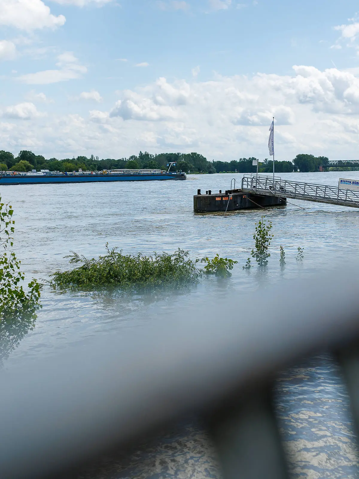 Der Rhein in der Nähe von Mainz. 