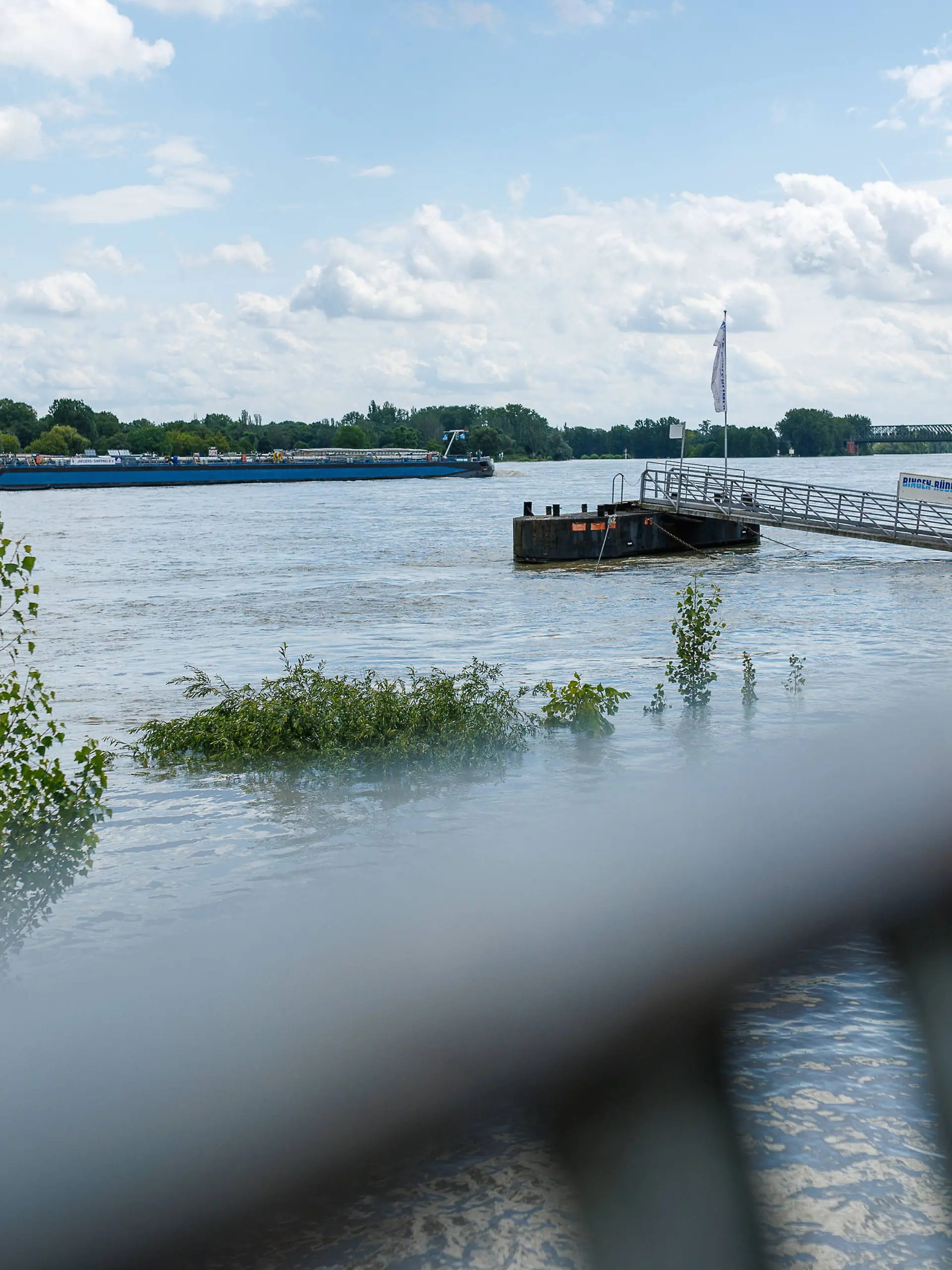 Der Rhein in der Nähe von Mainz. 