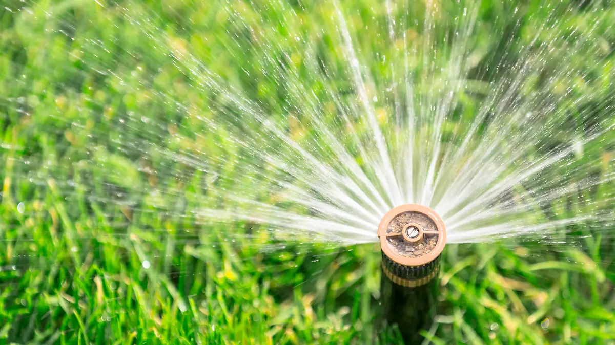 Bewässerungs-Systeme in Haus und Garten: Was ist sinnvoll?