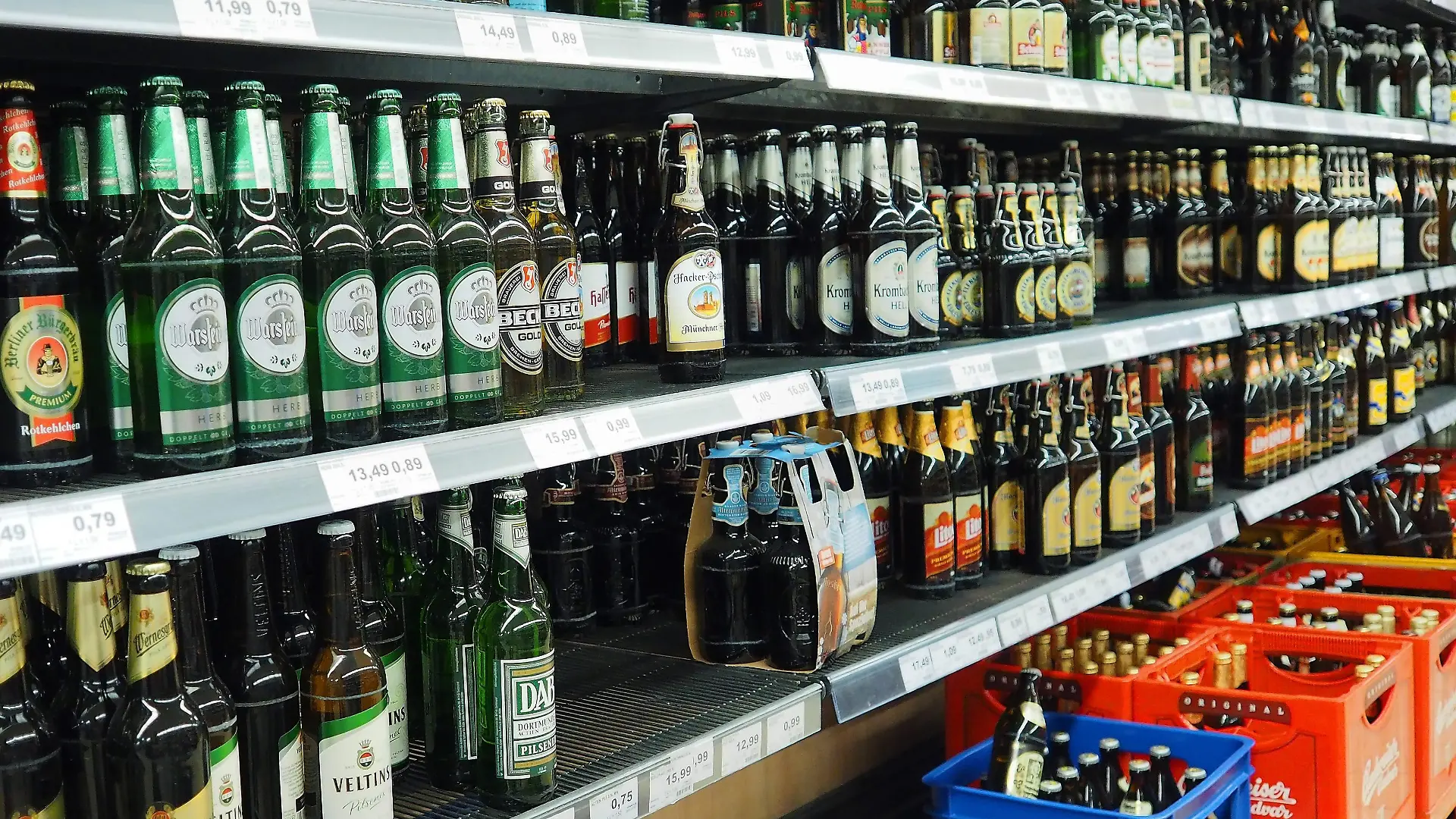 Bierflaschen verschiedener Marke stehen in einem Supermarkt in Berlin