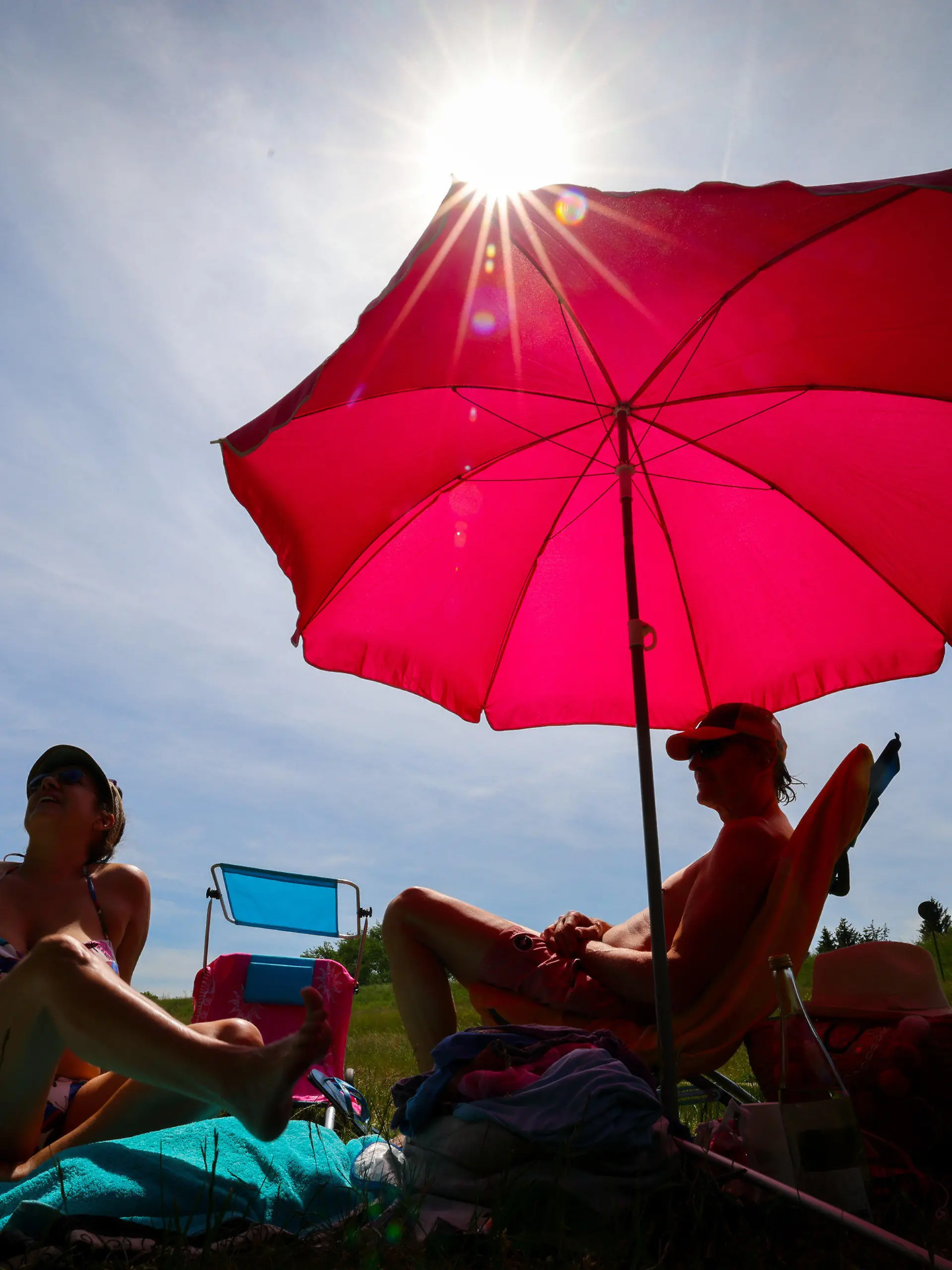 31.05.2023, Hamburg: Unter einem pinkfarbenen Sonnenschirm genießen zwei Menschen den sonnigen Tag auf einer Wiese am Elbdeich bei Ochsenwerder. Zur Mitte der Woche bleibt das Wetter im Norden des Landes sonnig und trocken. Foto: Christian Charisius/dpa +++ dpa-Bildfunk +++