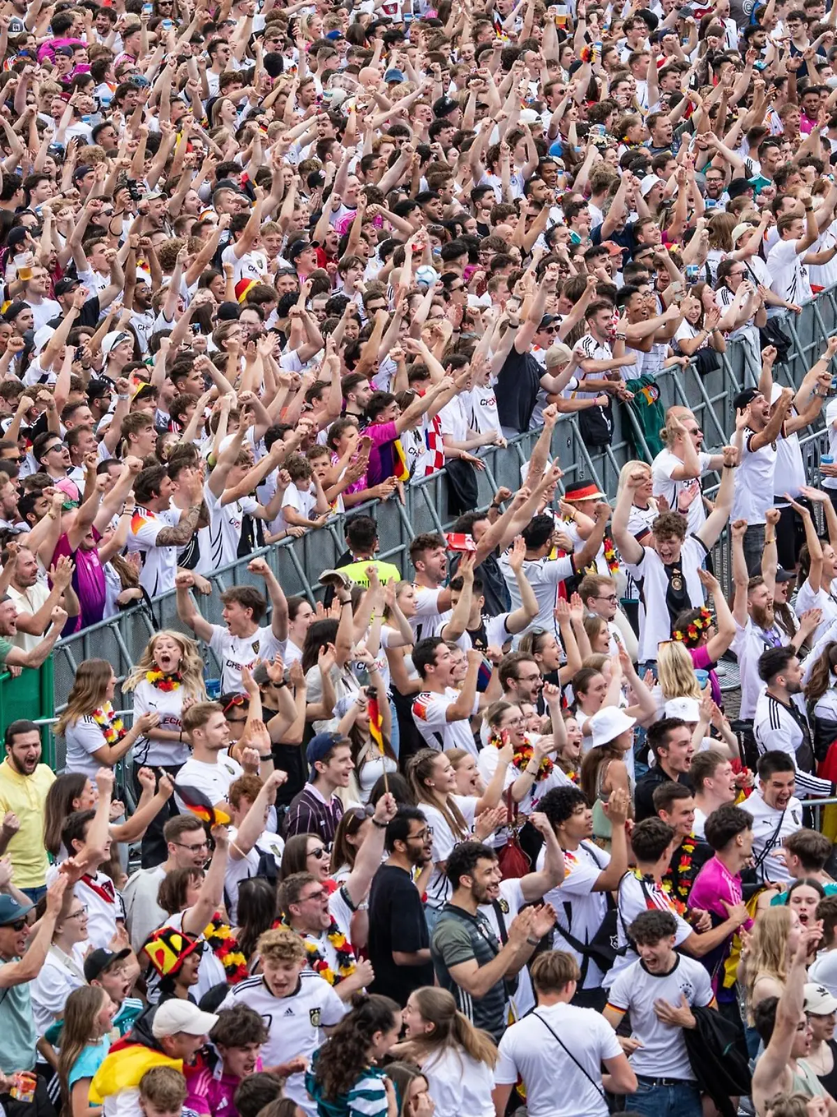 Bild zu: "Welche EM-Fans findet ihr am sympathischsten?"
