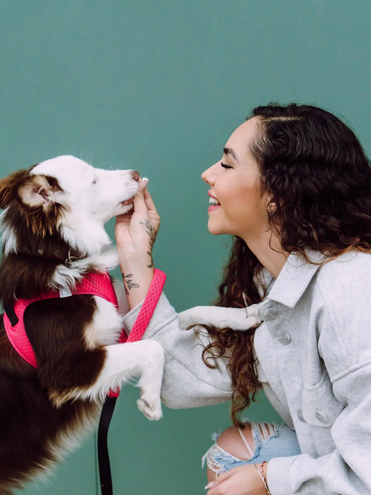 leckerli;border-collie;hundebesitzerin;Bildverwendung nur mit Urhebervermerk: Addictive Stock/Shotshop/picture alliance. Keine Exlusivverkäufe möglich. || Modellfreigabe vorhanden