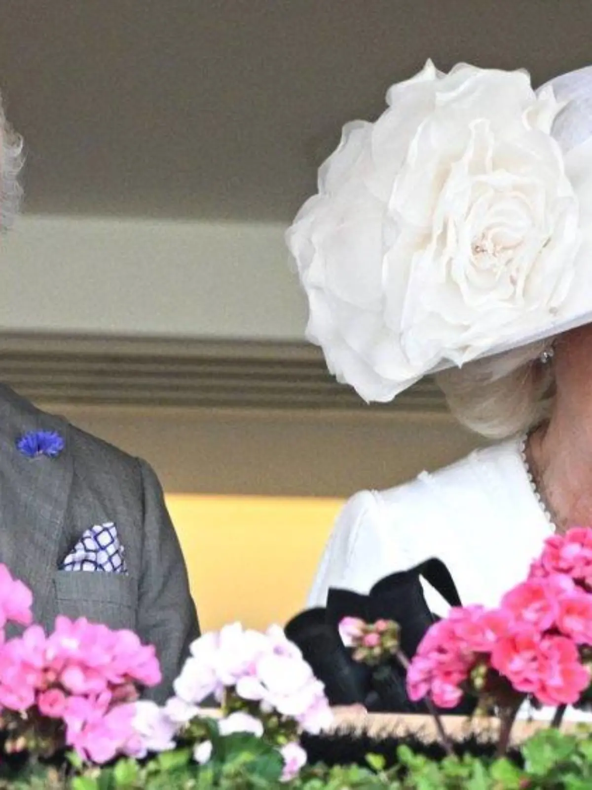 Royal-Ascot-Rennen: Mit Königin Camilla gehen die Pferde durch