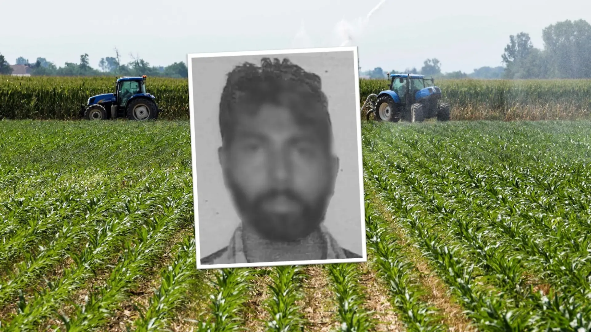 Eine Fotocollage mit einem Mann im Vordergrund, dahinter ein Feld.