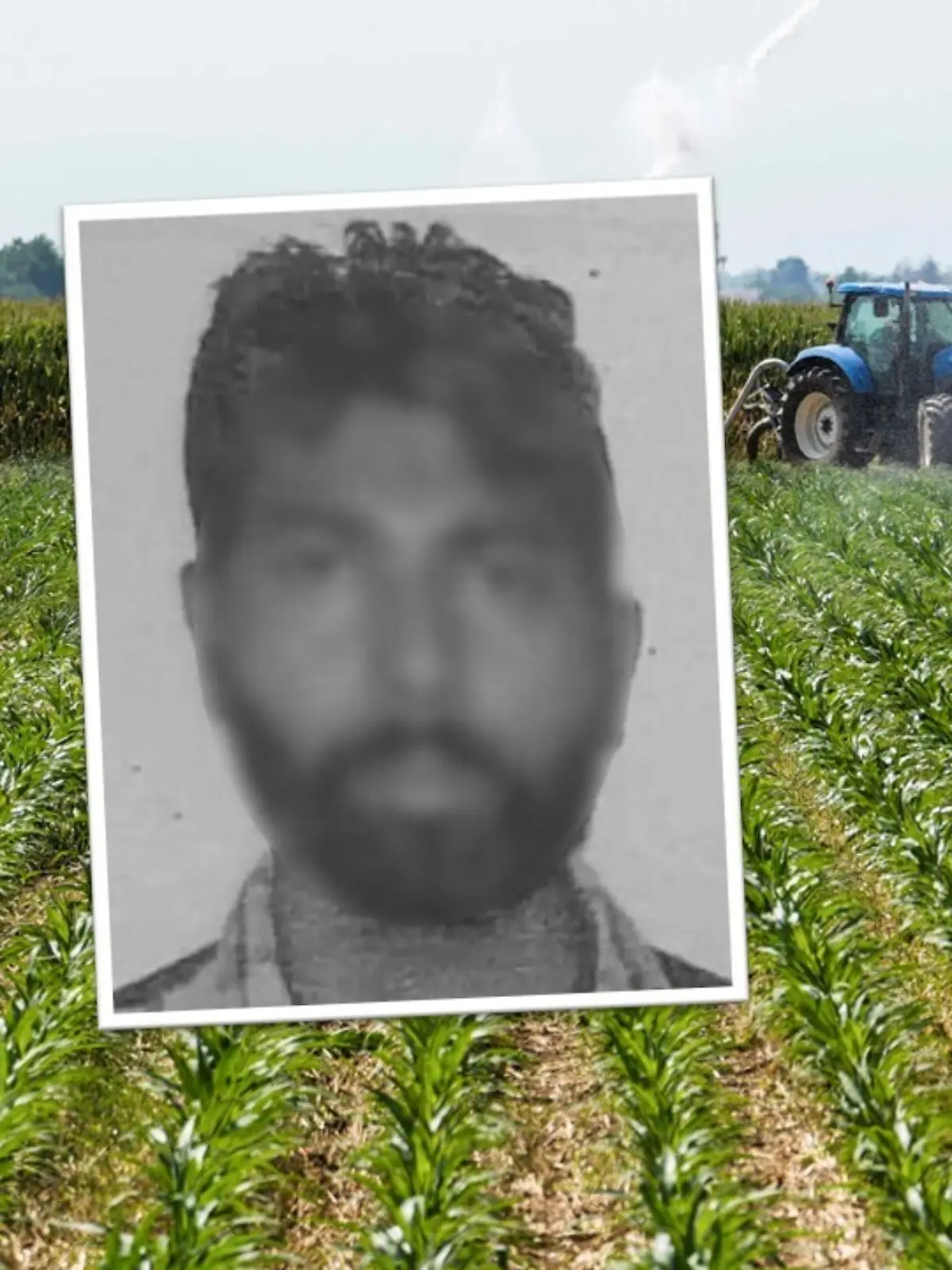Eine Fotocollage mit einem Mann im Vordergrund, dahinter ein Feld. 