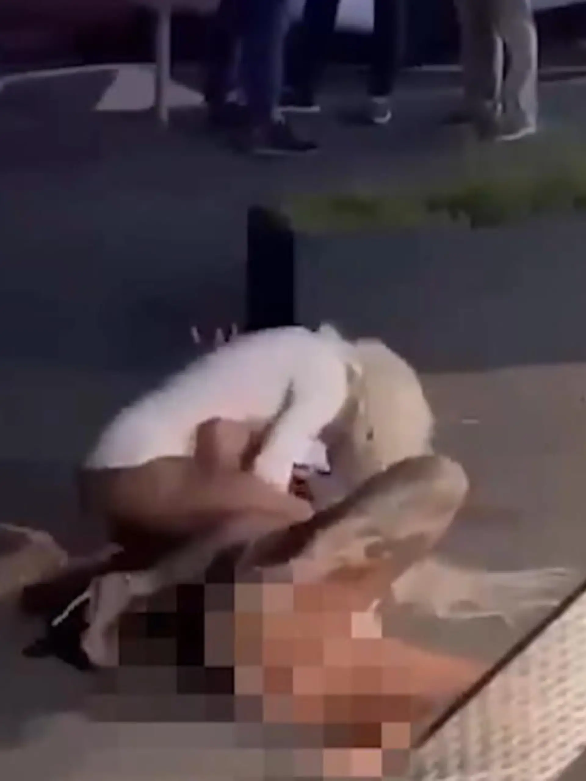 Was hier aussieht wie ein inszenierter Wrestling-Kampf, ist eigentlich nur ein „kleines“ Missverständnis zwischen den beiden britischen Models Beth Adams und  Crystal Foster.
