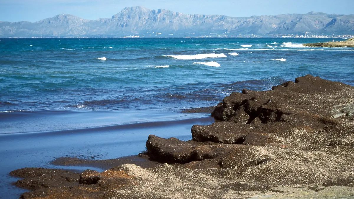 Küste von Ca n Picafort bei Alcudia
