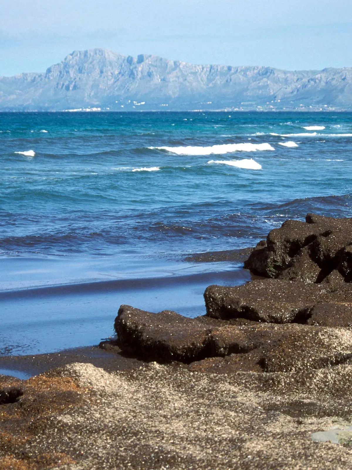 Küste von Ca n Picafort bei Alcudia