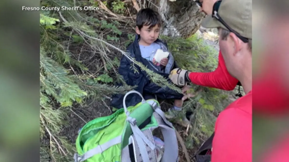 Unter diesem Geäst hatte sich das Kind in der Nacht versteckt.