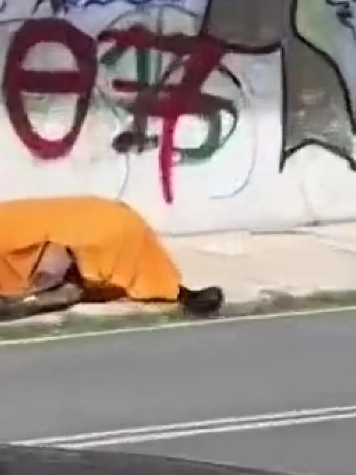 Ein totes Pferd liegt unter einer Decke auf dem Gehweg