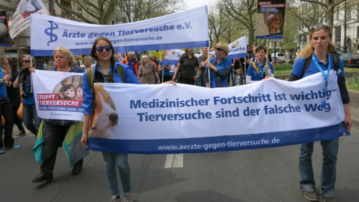 berlin_demo.jpg