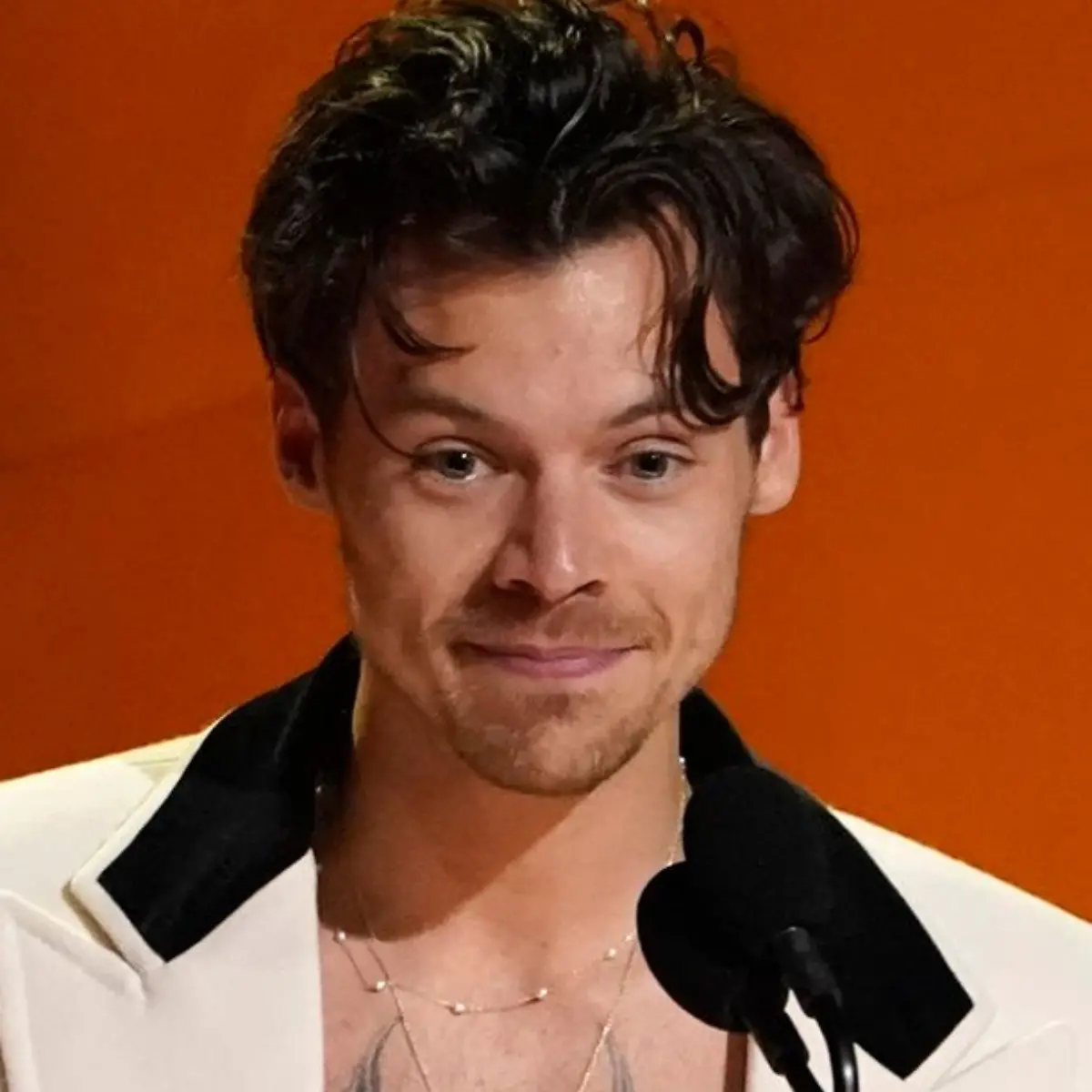 Harry Styles soll sich nördlich von Rom ein Haus gekauft haben.