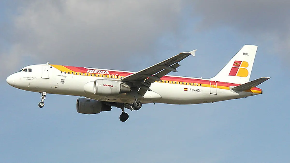 Ein Flugzeug in der Luft.