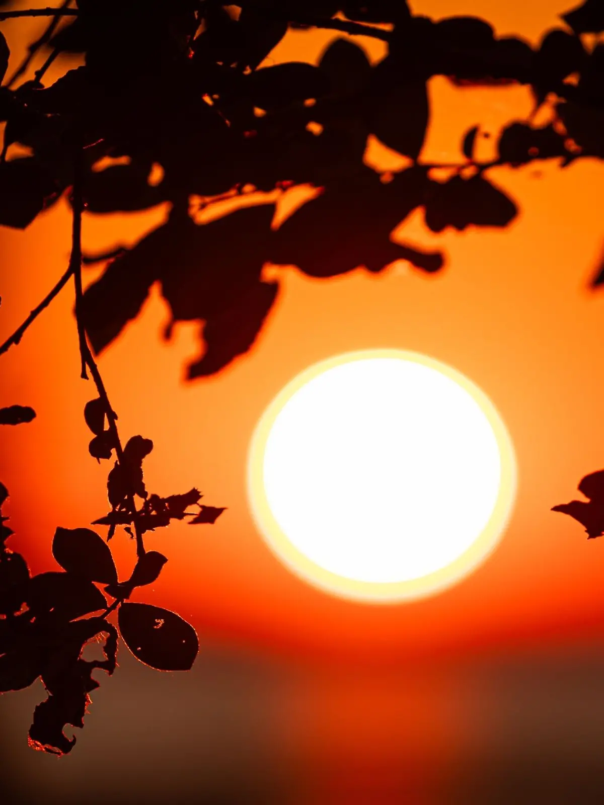 Bild zu: "Weil er den Sonnenaufgang sehen wollte – Mann (62) löst Polizeieinsatz aus"