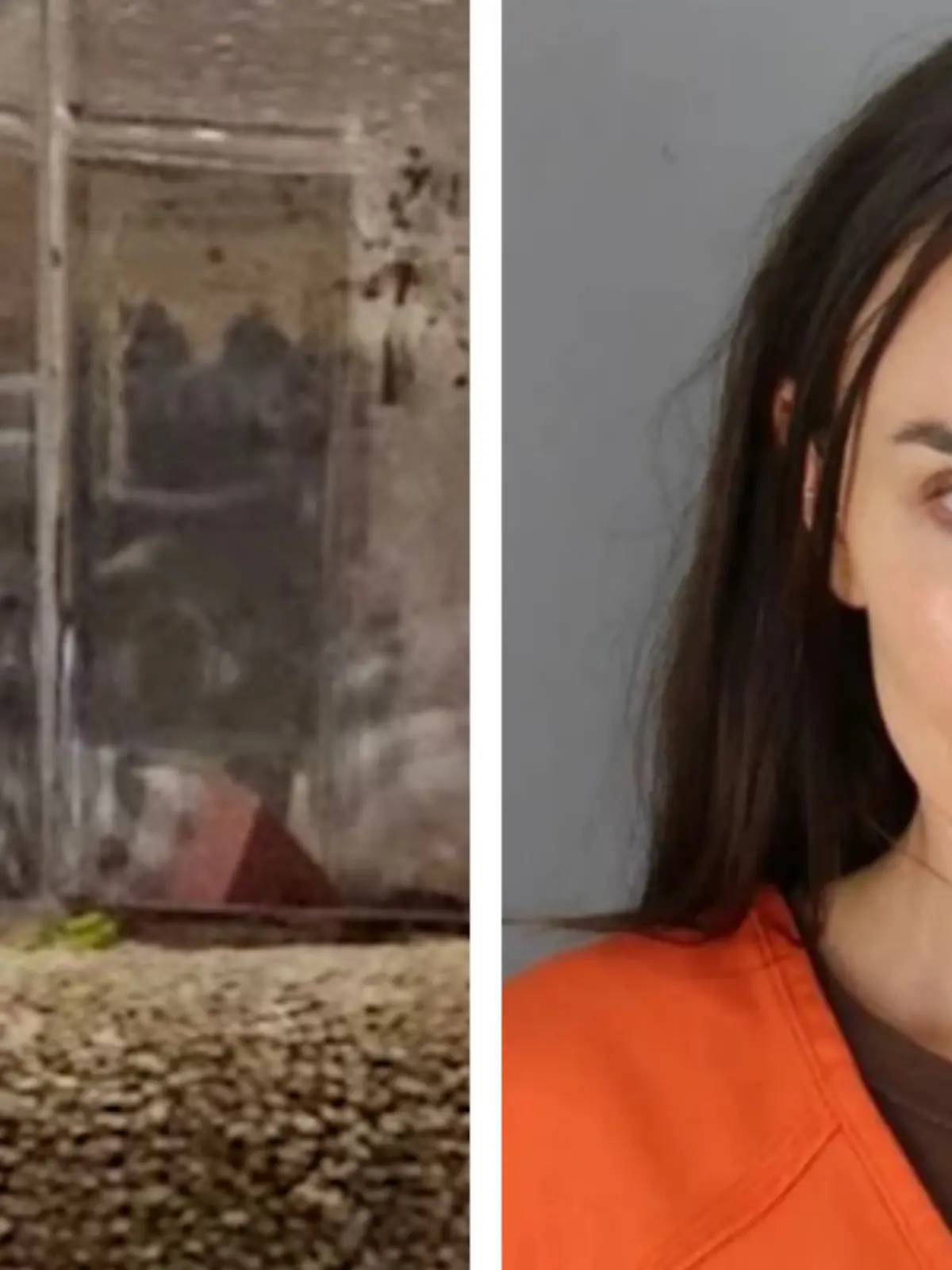 Bild zu: "Politikerin lässt Tarantel auf Mieterin los "