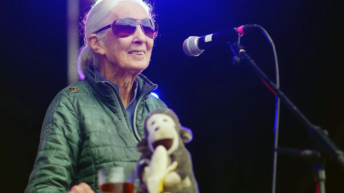 Jane Goodall auf der Greenpeace-Bühne beim Glastonbury Festival in Worthy Farm.
