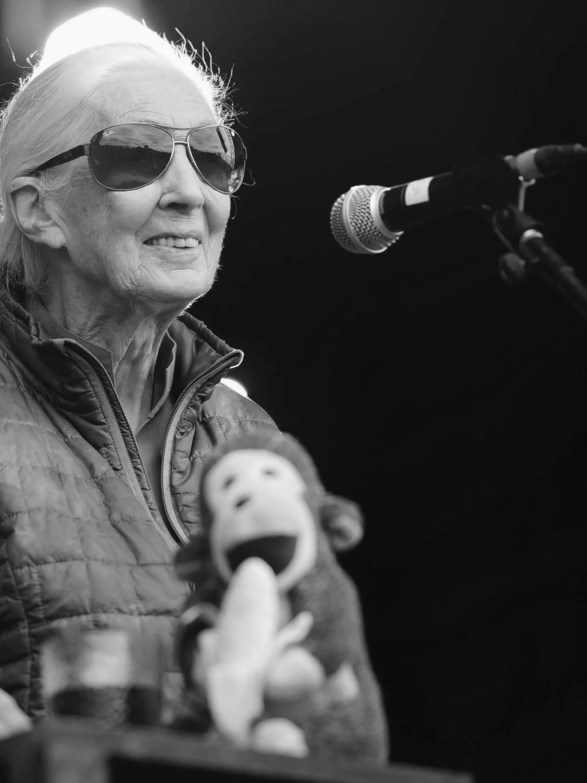 Bild zu: "Jane Goodall im Alter von 91 Jahren gestorben"