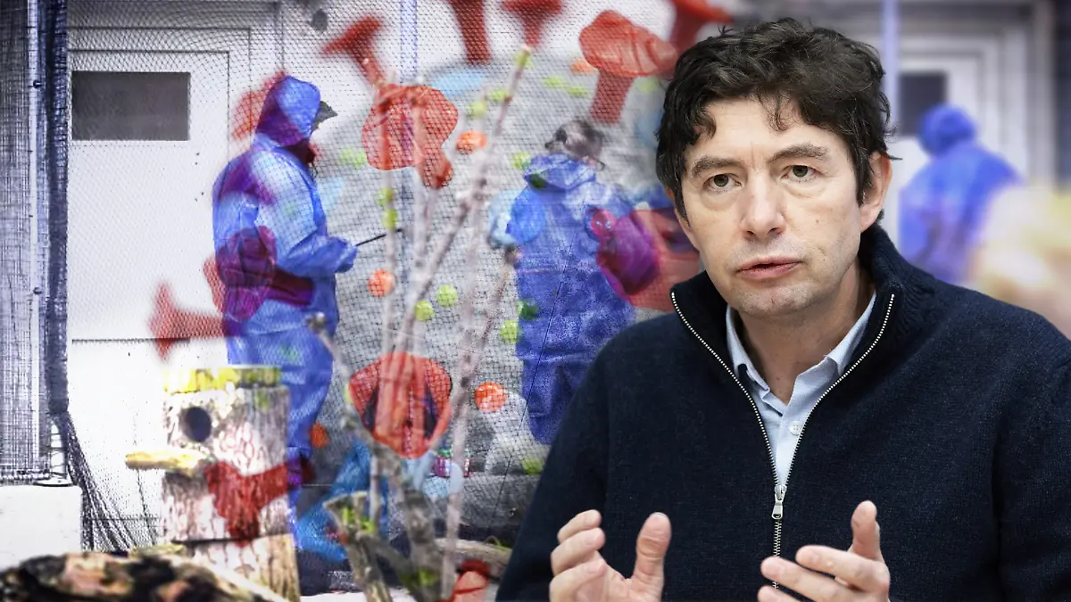 Virologe Christian Drosten sieht in der Vogelgrippe, die sich derzeit rasant ausbreitet, einen gefährlichen Pandemie-Kandidaten
