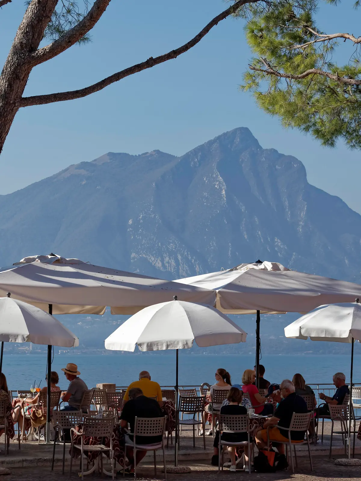 Restaurantterrasse unter Pinien am Seeufer, Sonnenschirme, Uferpromenade, Torri del Benaco, Gardasee Ostufer, Provinz Verona, Italien, Europa