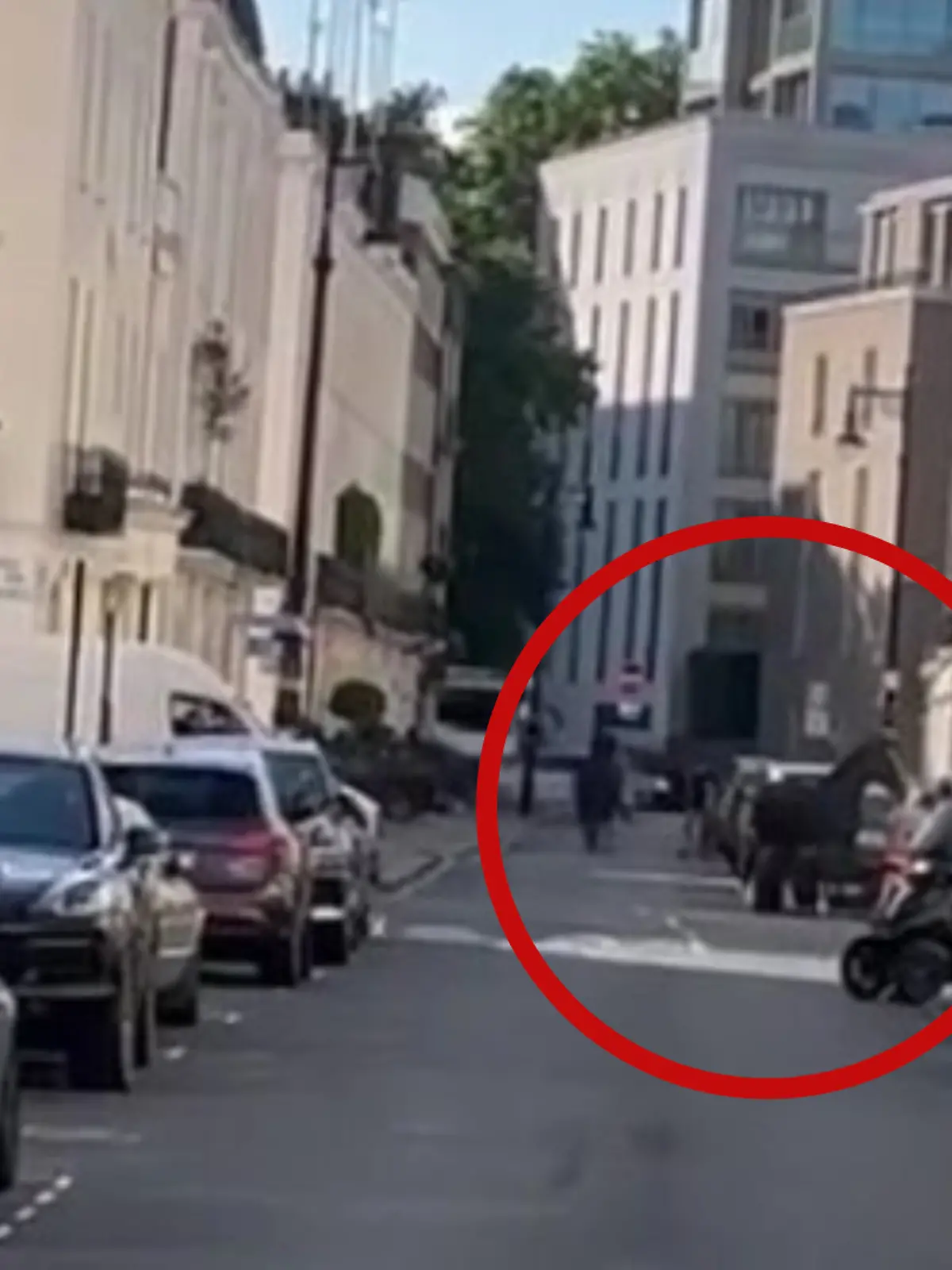 Ein Lieferwagen und ein Roller können den Pferden gerade noch ausweichen. 