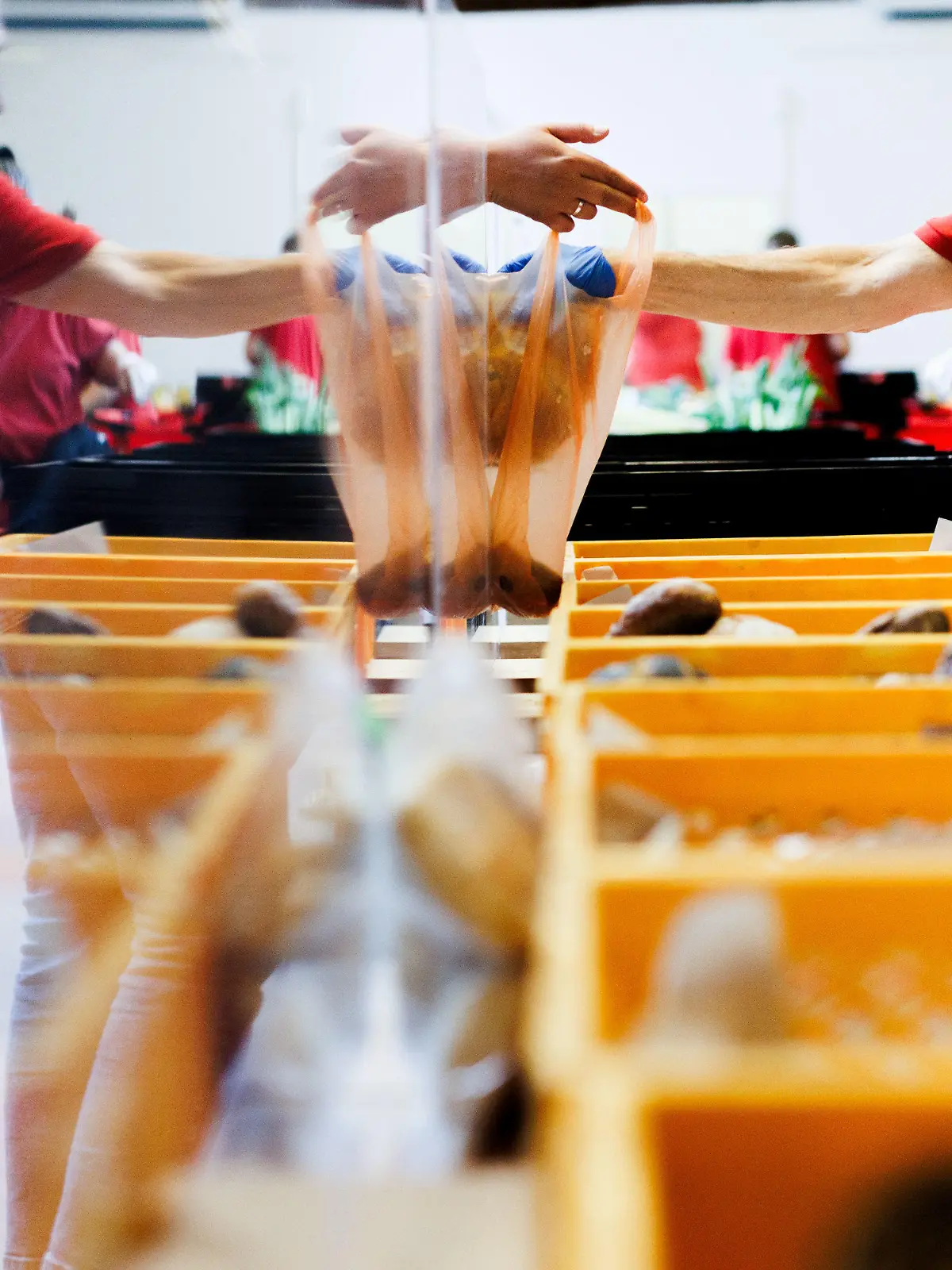 PRODUKTION - 03.07.2023, Berlin: Ein Mitarbeiter gibt ein Brot in die Tasche einer Frau an der Brotausgabe in der Ausgabestelle Paul-Schneider-Haus der Berliner Tafel. Jeden Montag findet die Ausgabe statt. Zum bevorstehenden Bundestafeltreffen kommen Vertreter der Tafeln aus ganz Deutschland zusammen, um einen neuen geschäftsführenden Vorstand der Tafel Deutschland zu wählen und diverse Themen zu diskutieren. Foto: Carsten Koall/dpa +++ dpa-Bildfunk +++