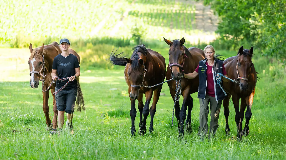 Gnadenhof Ebsdorf braucht Hilfe