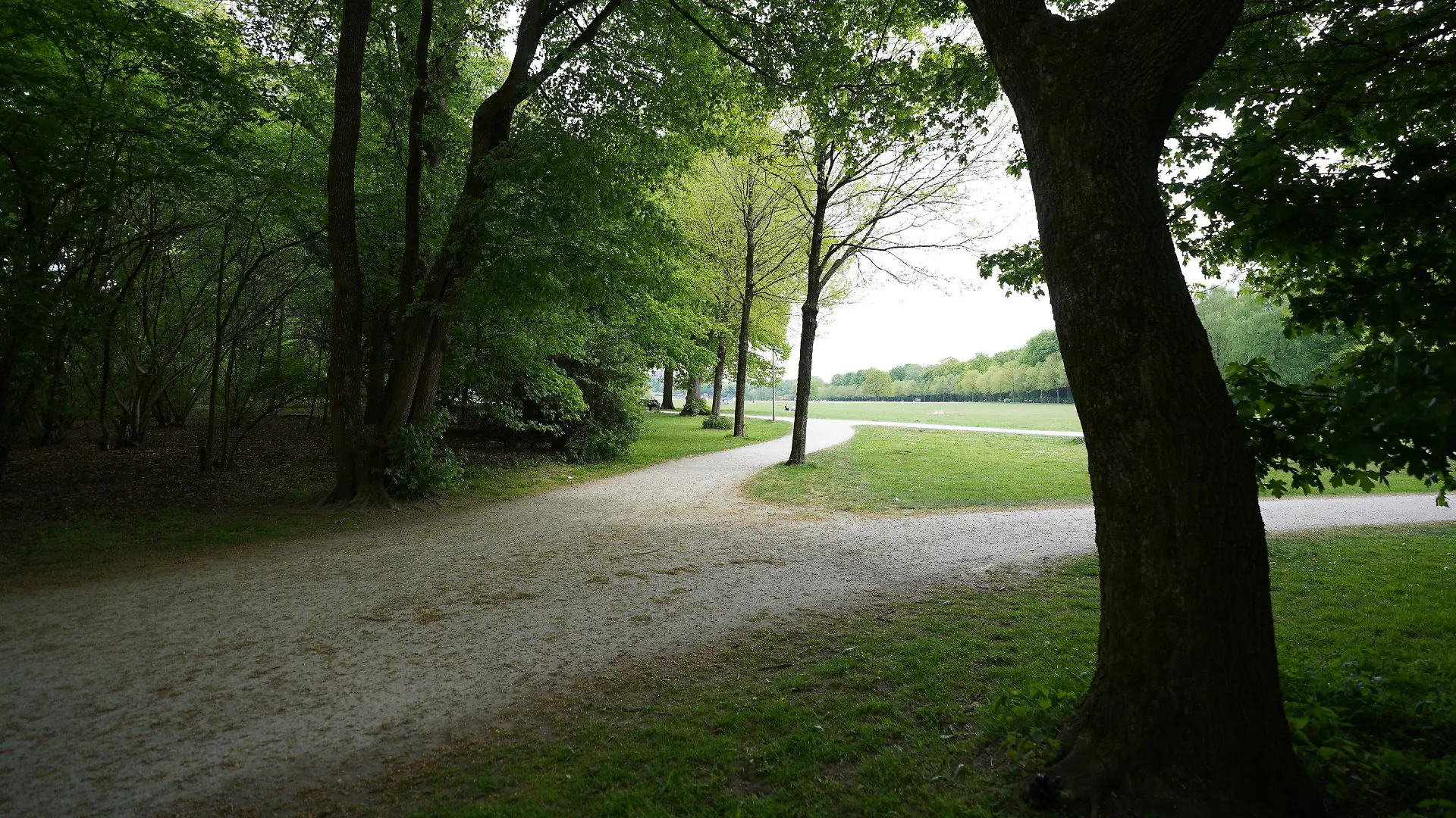 10.05.2022, Hamburg: Blick auf die Festwiese im Stadtpark. Im Zusammenhang mit der gemeinschaftlichen Vergewaltigung einer 15-Jährigen müssen sich elf Männer vor einer Jugendkammer am Landgericht Hamburg verantworten. Zehn der Beschuldigten im Alter zwischen 18 und 22 Jahren sollen die Jugendliche im Stadtpark sexuell missbraucht haben. Einem elften Angeklagten werden Beihilfe sowie Herstellung jugendpornografischer Inhalte und Verletzung des höchstpersönlichen Lebensbereichs durch Bildaufnahmen vorgeworfen. Foto: Marcus Brandt/dpa +++ dpa-Bildfunk +++