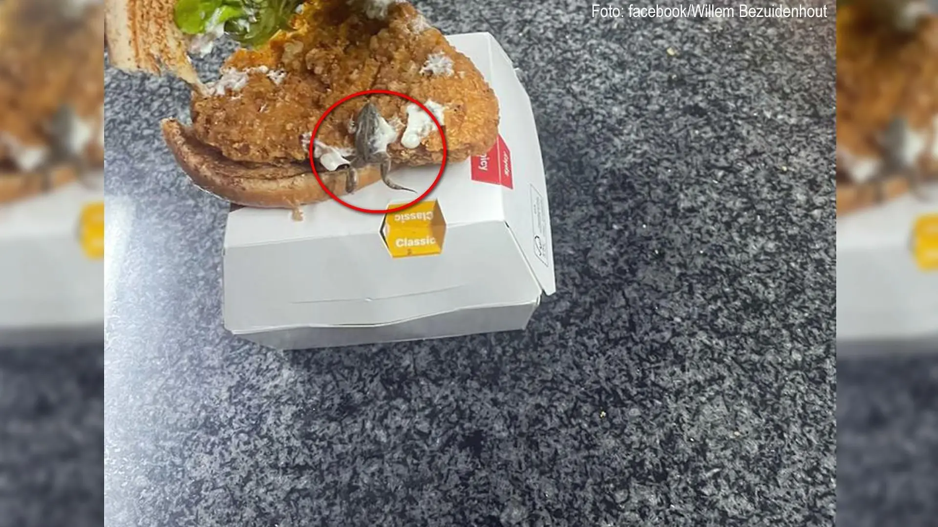 McFroggie