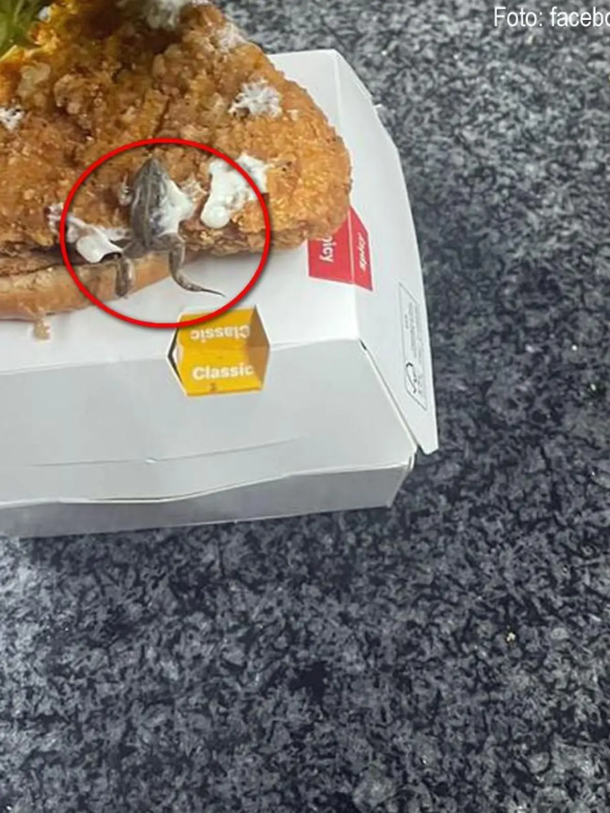 McFroggie
