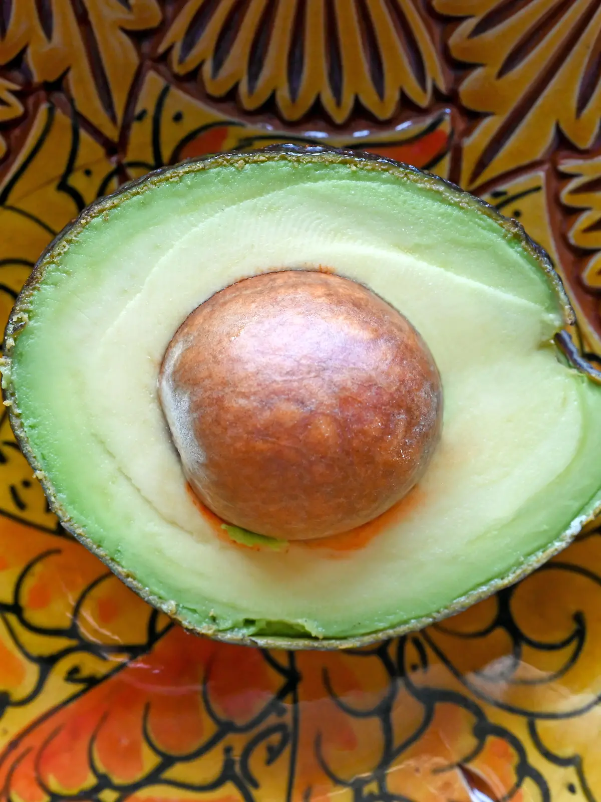 Bild zu: "Warum ihr Avocado-Kerne niemals wegwerfen solltet"