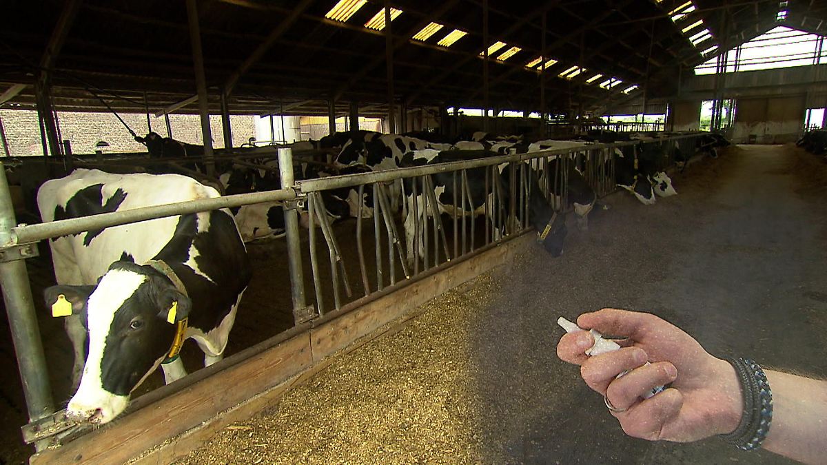 Ein-Nasenspray-mit-Stallluft-Kann-das-wirklich-gegen-Asthma-und-Allergien-helfen-