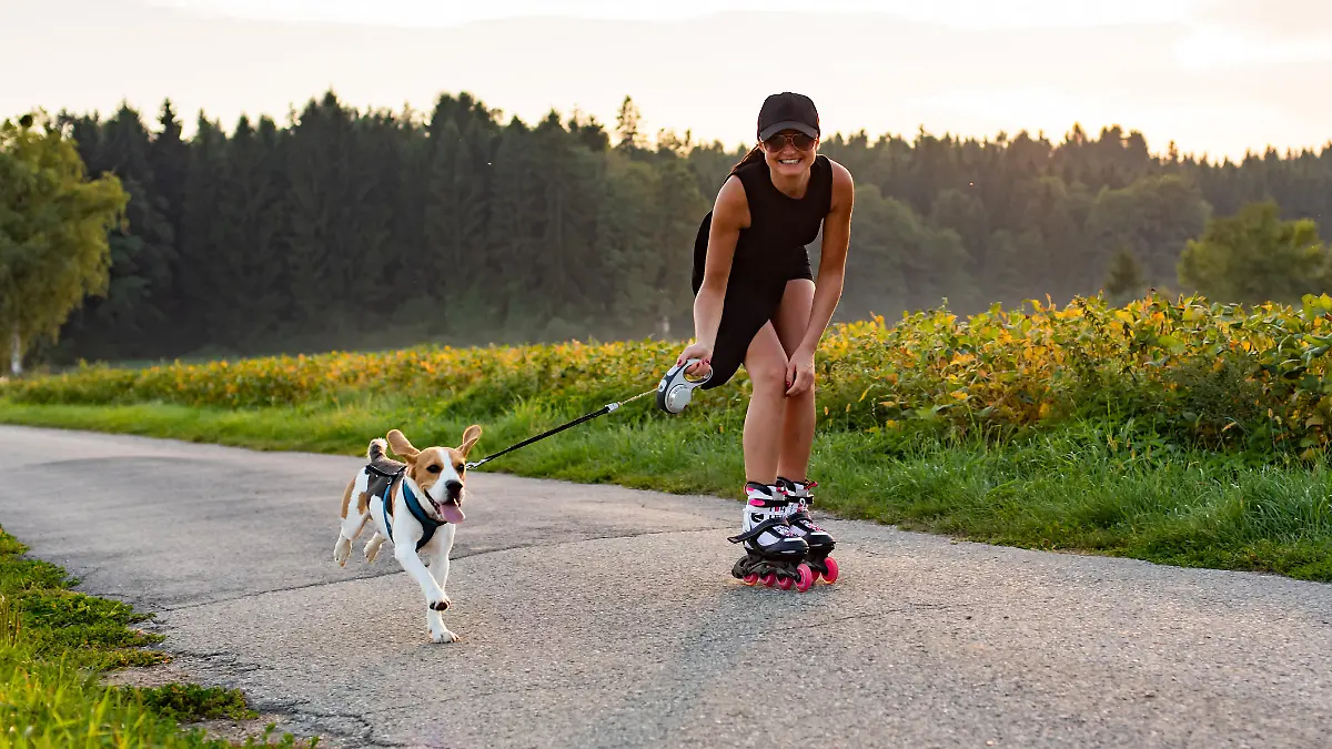 Girl skating with dog in nature on a road to forest. Sunny day countryside sunset.