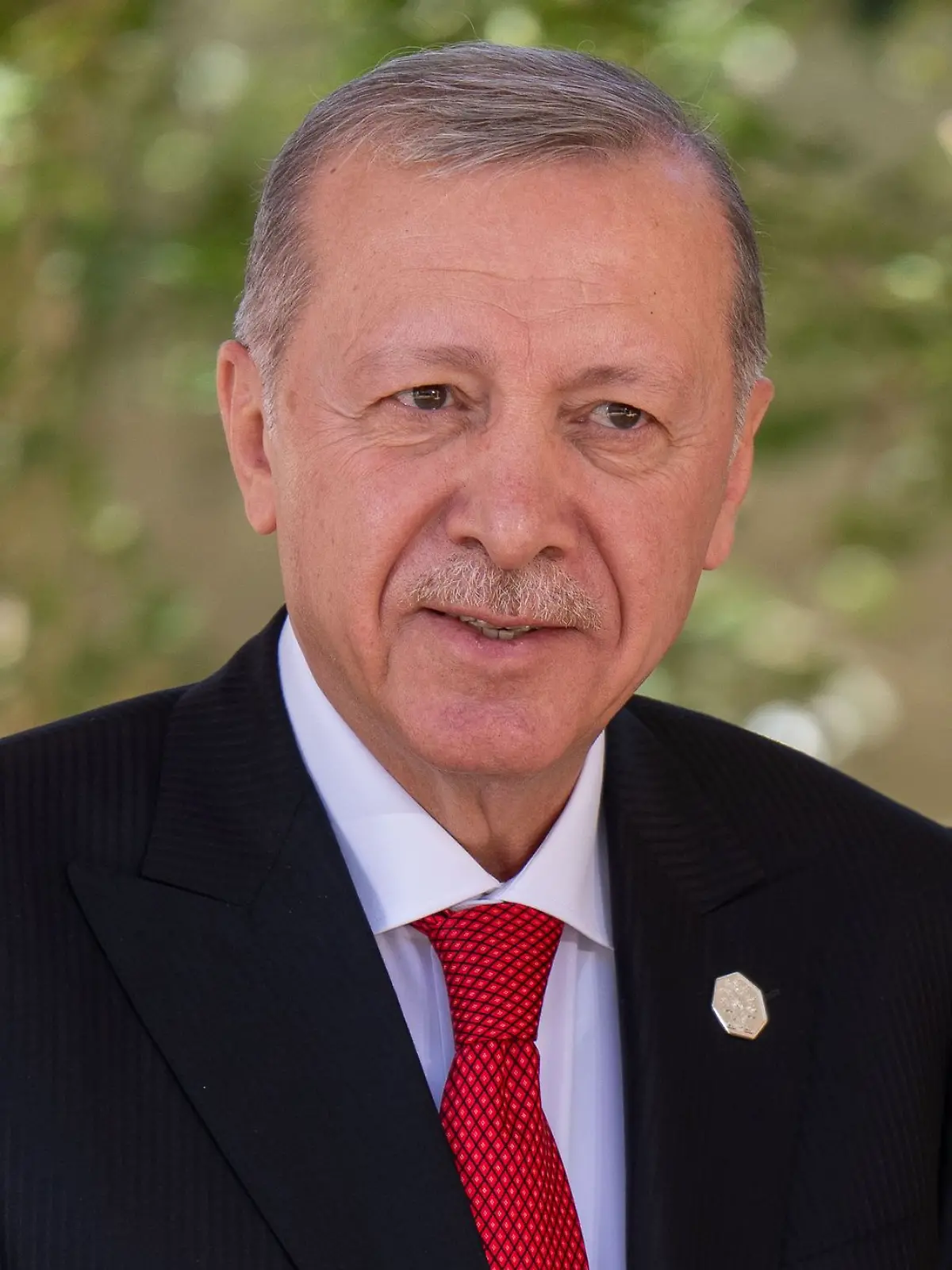 Bild zu: "Erdogan kommt zum EM-Viertelfinale..."