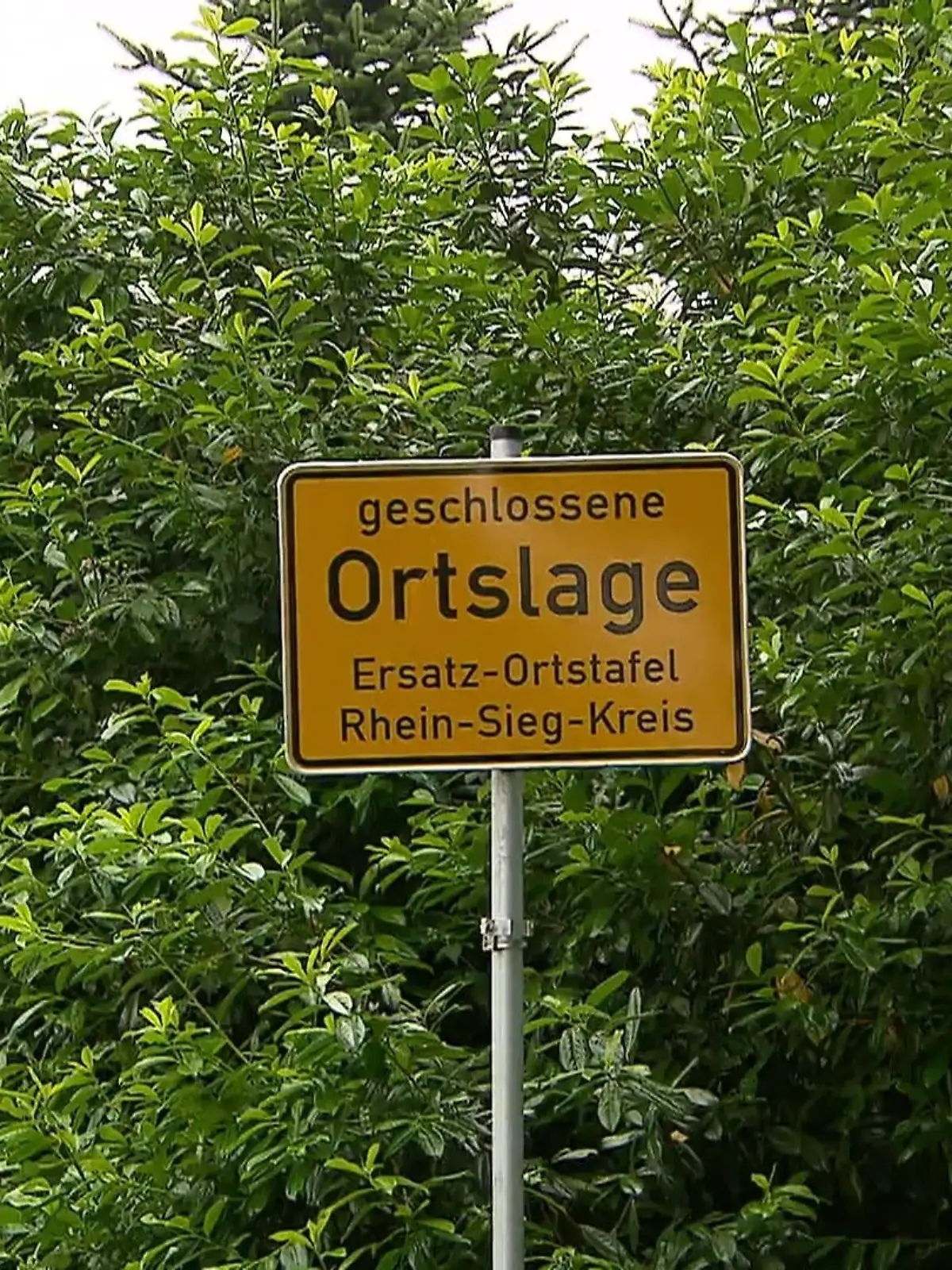 Bild zu: "Straßenschilder in Hanf geklaut"