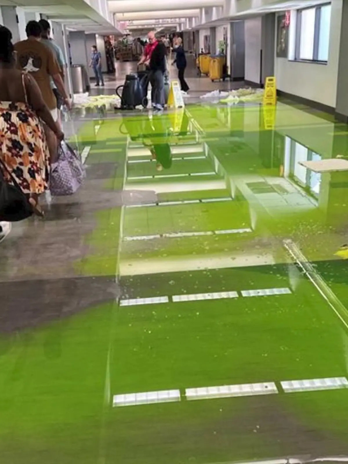 Grüne Flüssigkeit strömte im Flughafen Miami von der Decke 